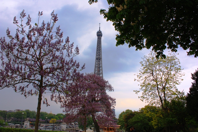 Torre Eiffel in fiore