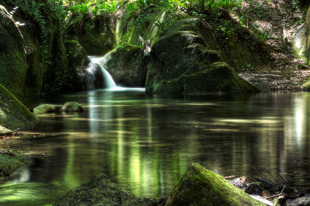 Sorgenti dell'Alento