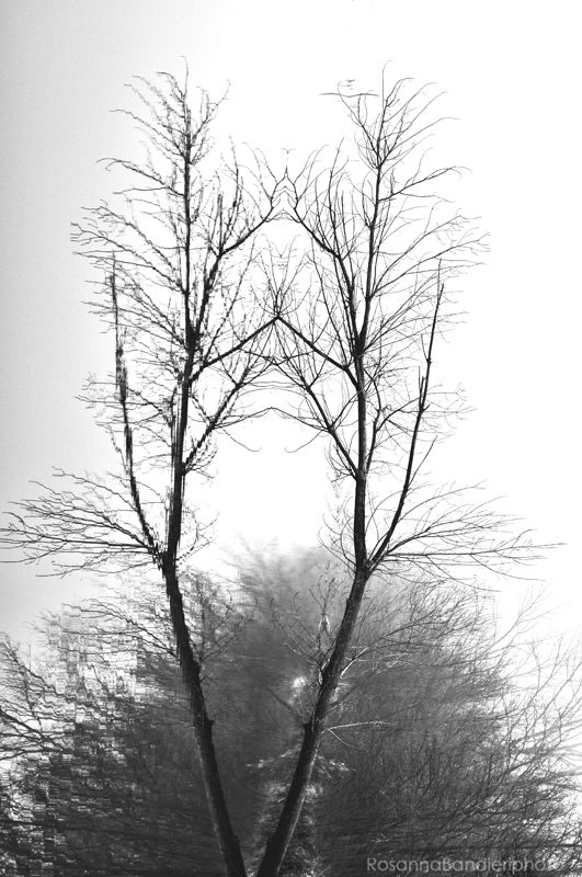 percezioni verticali