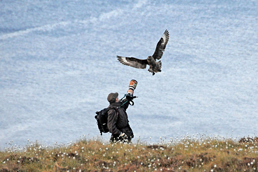 l'attacco al "cacciatore"