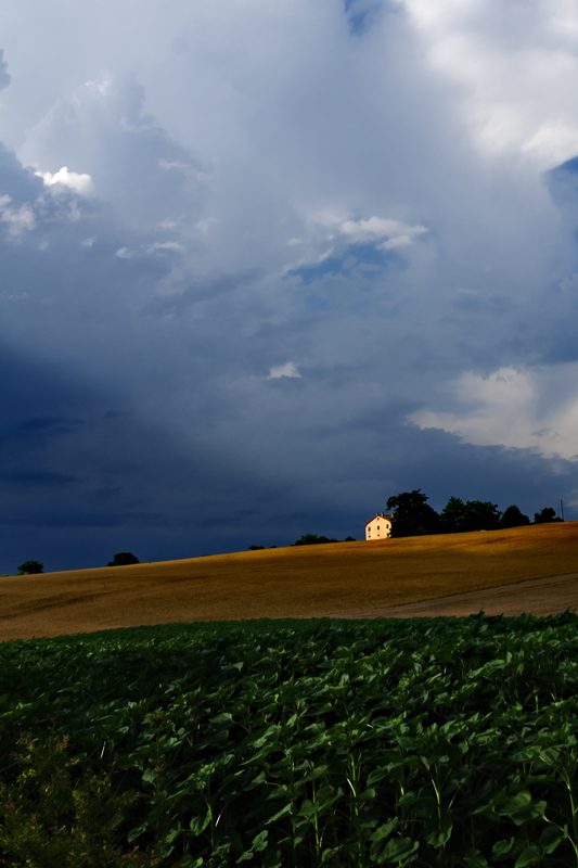 aspettando il temporale