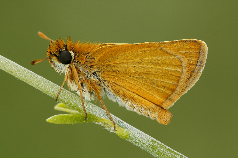 waiting for the sun...