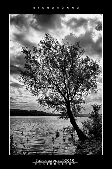 :: BIANDRONNO... [01-03]