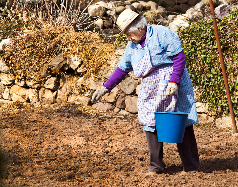Antichi movimenti...