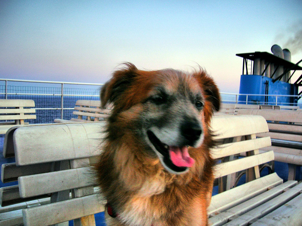 64 LUI:  ORAZIO .....