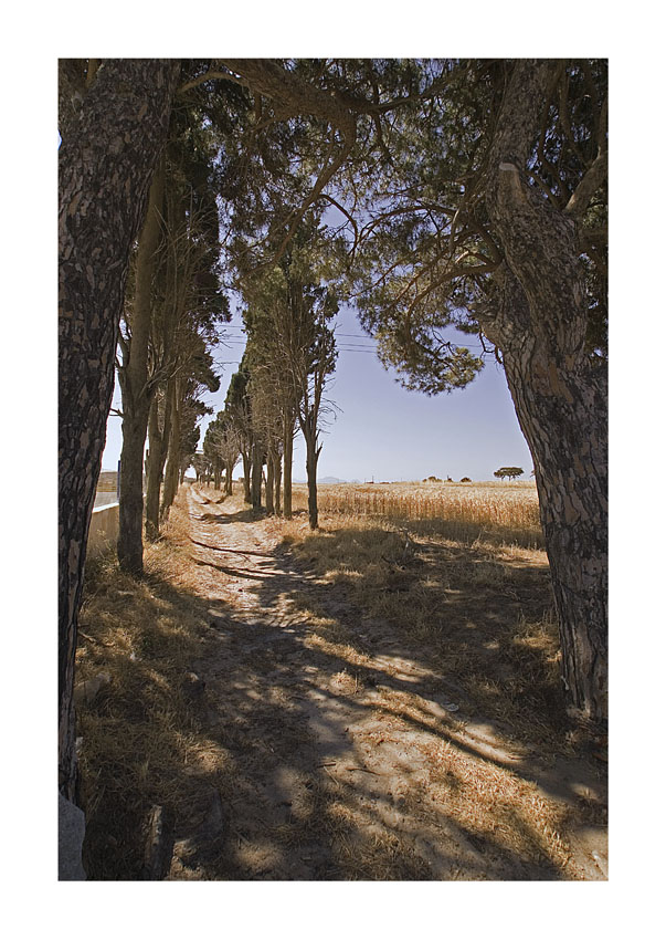 Cercando un po d'ombra