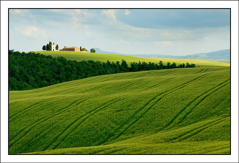 Colli senesi2
