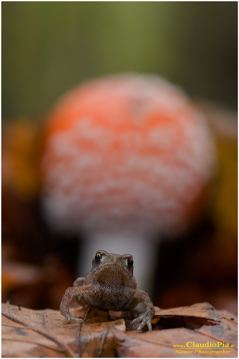 Un simaptico incontro.....