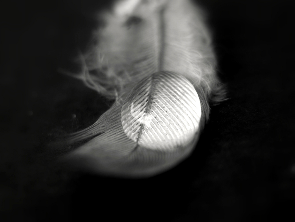 Goccia leggera come una piuma ^_^