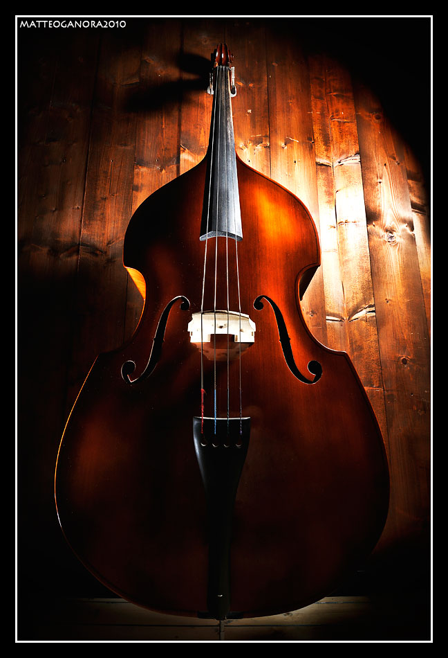 STILL|Il Contrabbasso