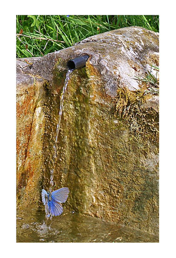 Doccia...Quando fa caldo fa caldo...