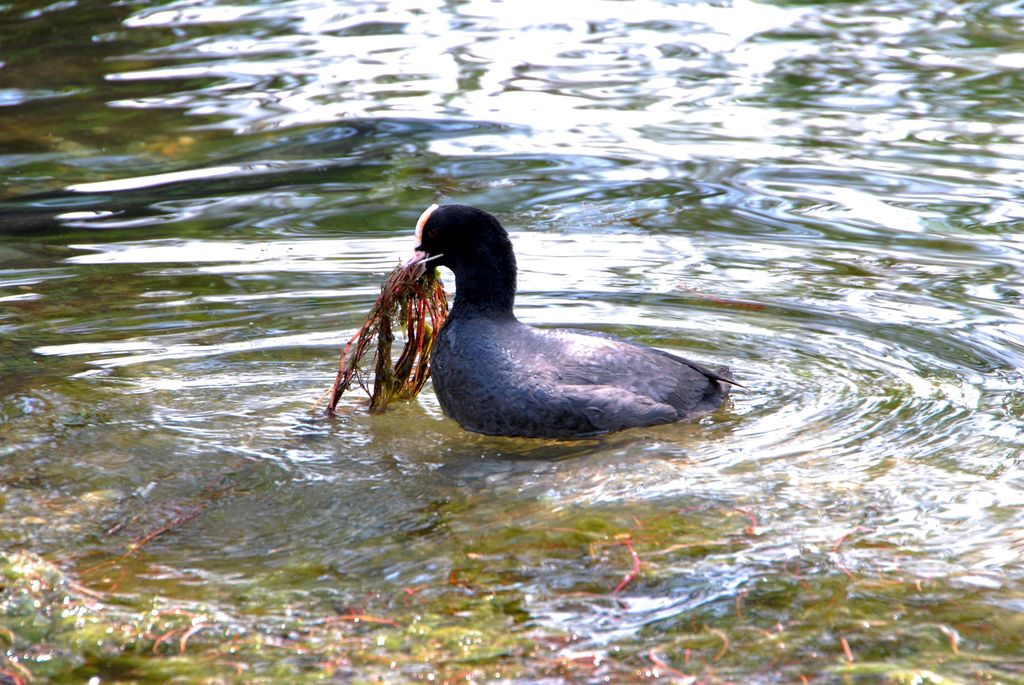 Il difficile lavoro della propriet� immobiliare II�