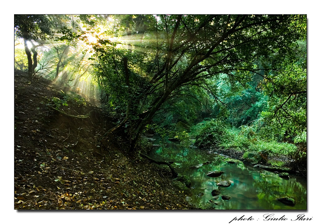 un posto abitato da fate