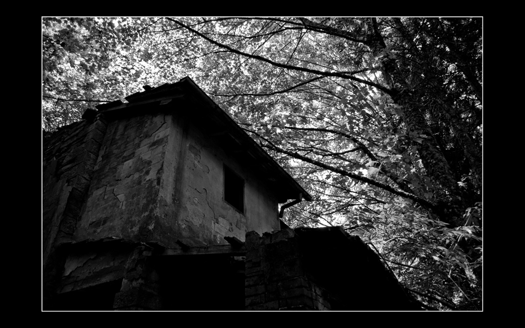 the balir witch project