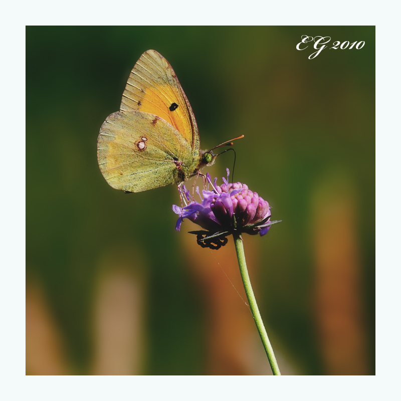 il pericolo sotto i piedi