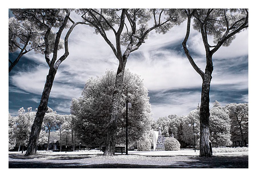 La mia citt� a modo mio #1