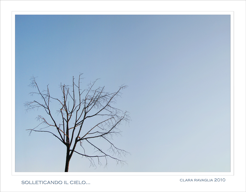 Solleticando il cielo...