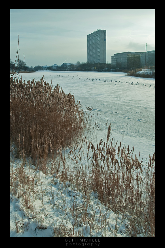 copenaghen - natura e civilt�