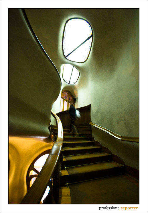 Negazione della linea retta