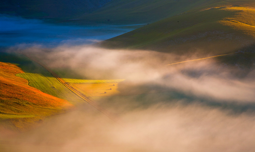 .: Light in the Dark :.