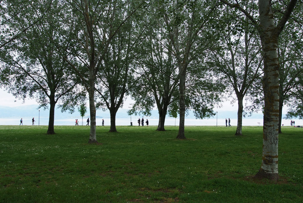 figure in riva al lago