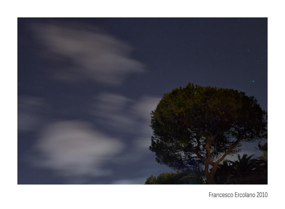 Come foglie al Vento