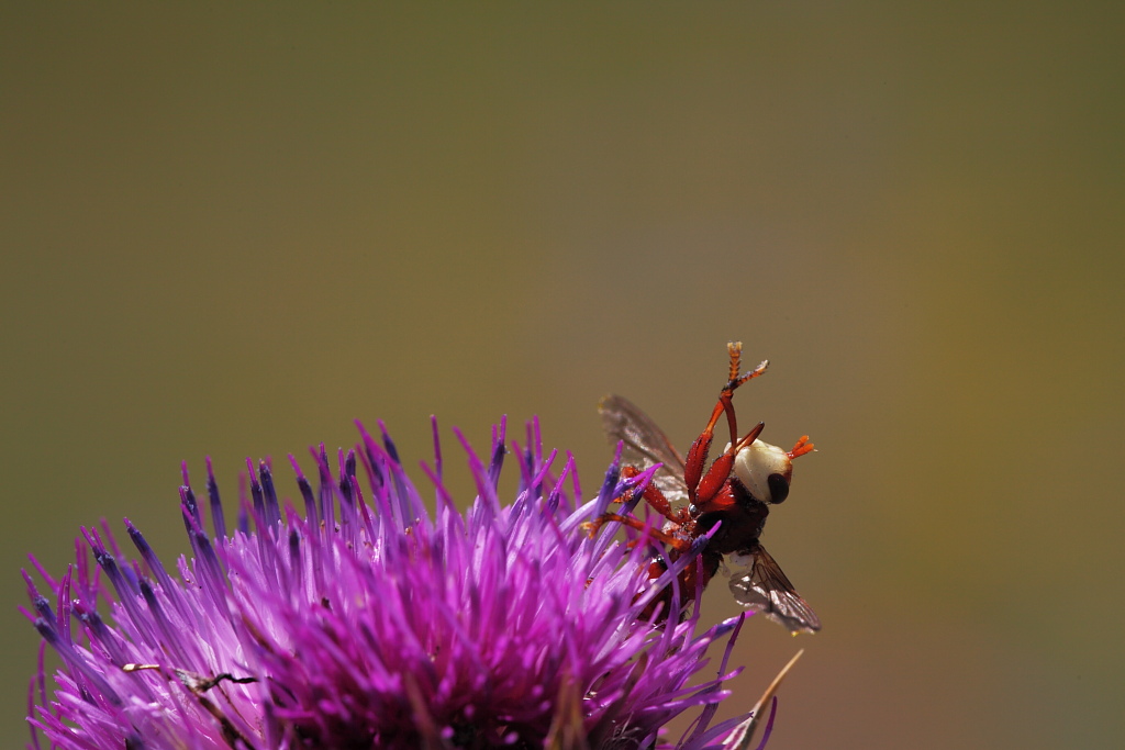 Da sfregarsi le mani