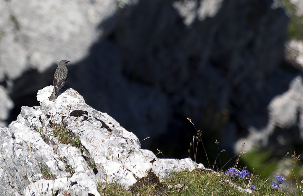 Il guardiano della gola del diavolo