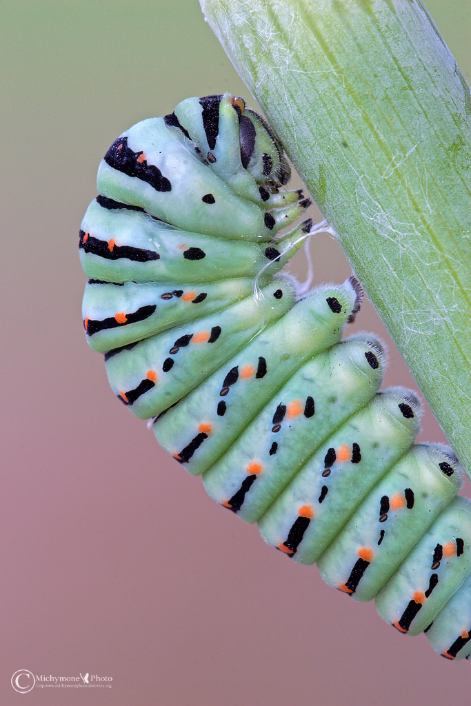 .....inizia la trasformazione