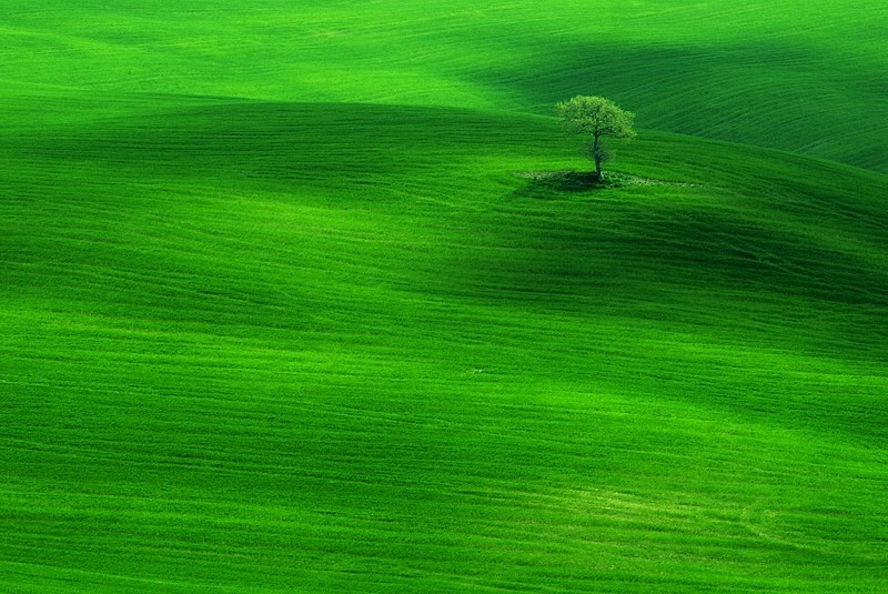 Verde d'Orcia