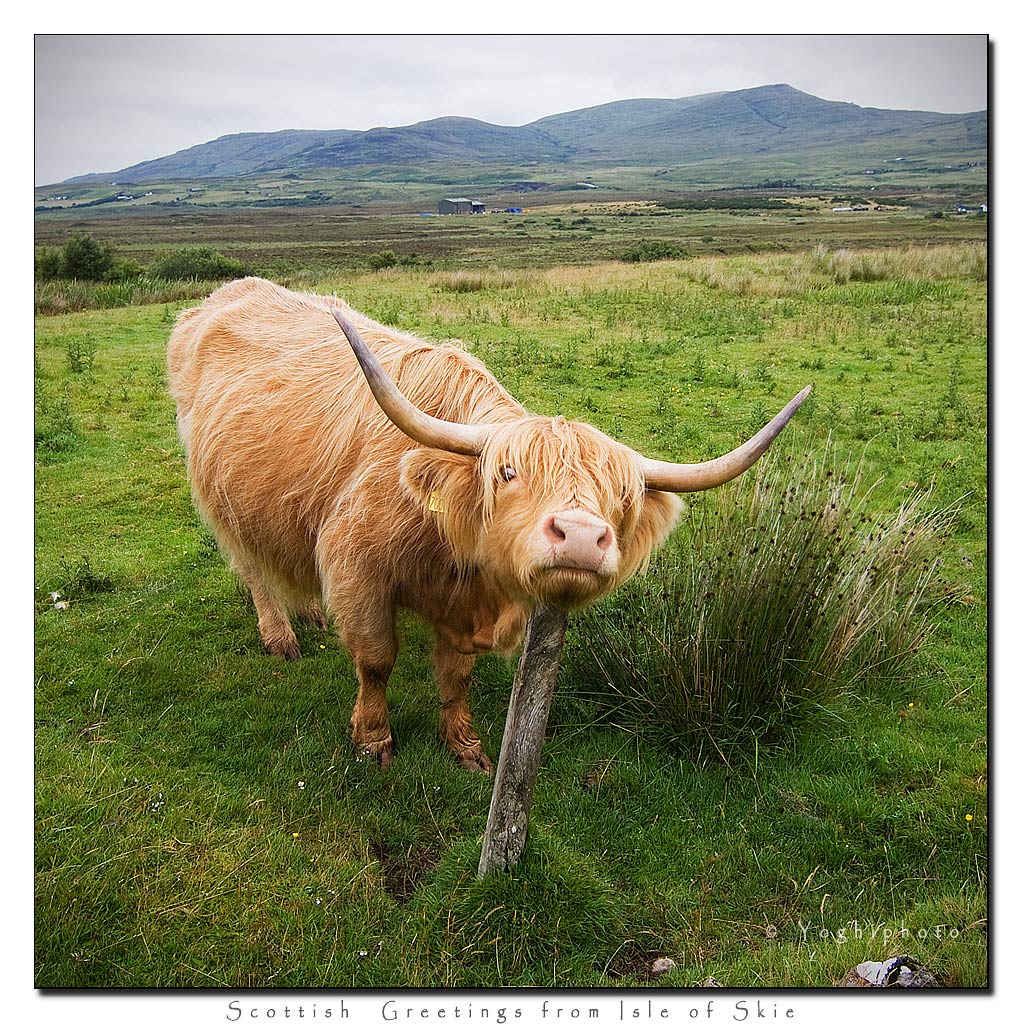 Greetings from Scotland