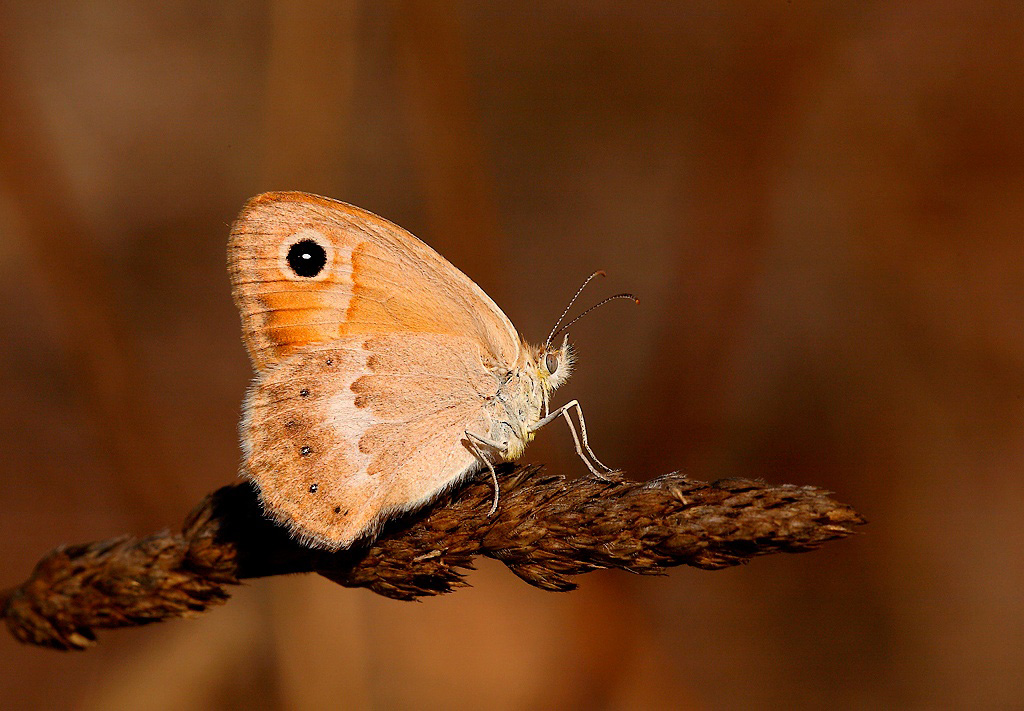 ...Senza Fretta...!!!