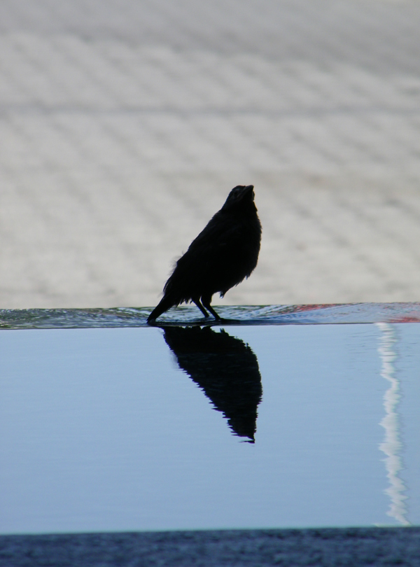 Niente di speciale...