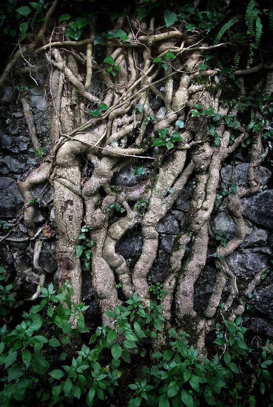 linee che si incrociano