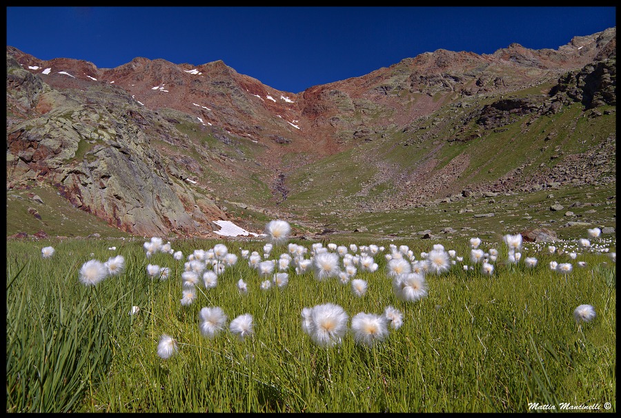 Verso cima rossa di Saent