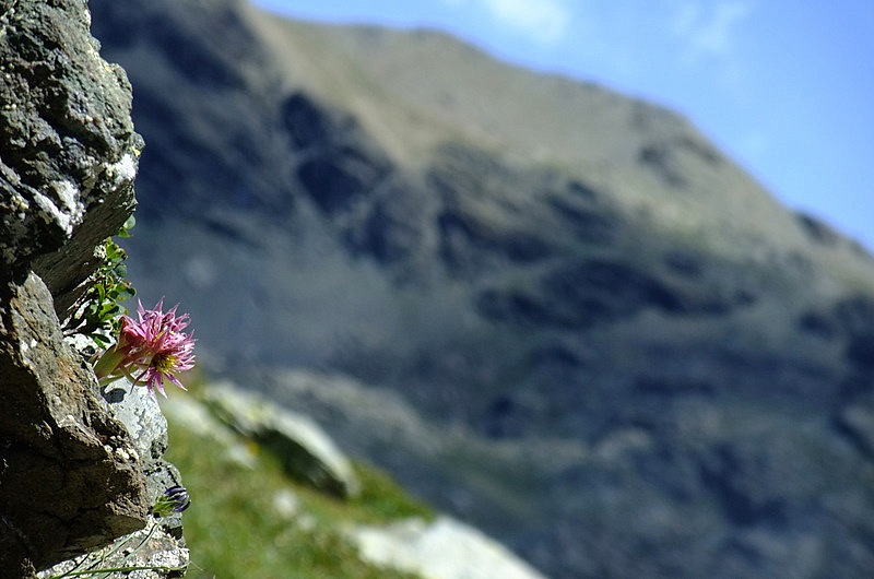 Cos� piccolo,cos� in alto...