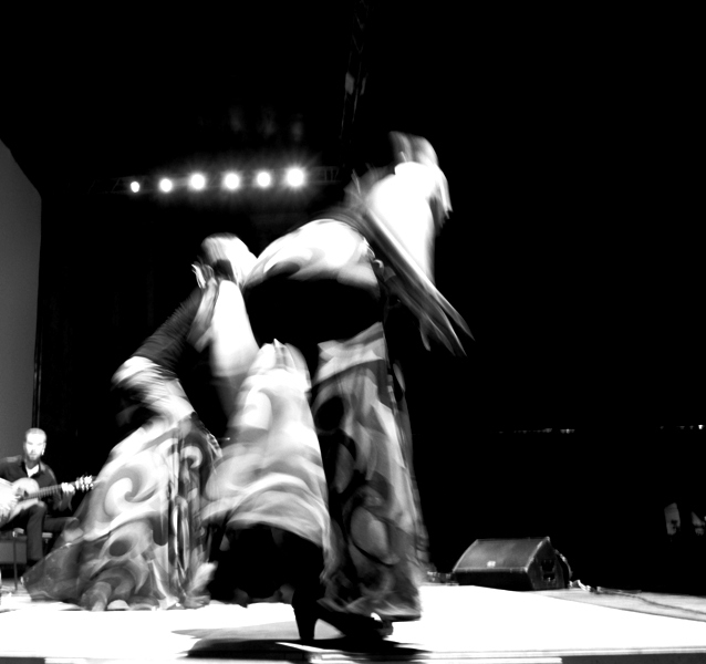 flamenco