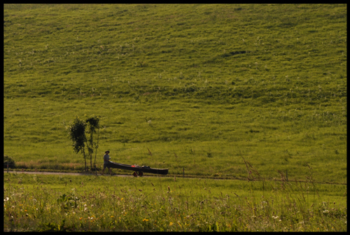 ....scusi per il lago?