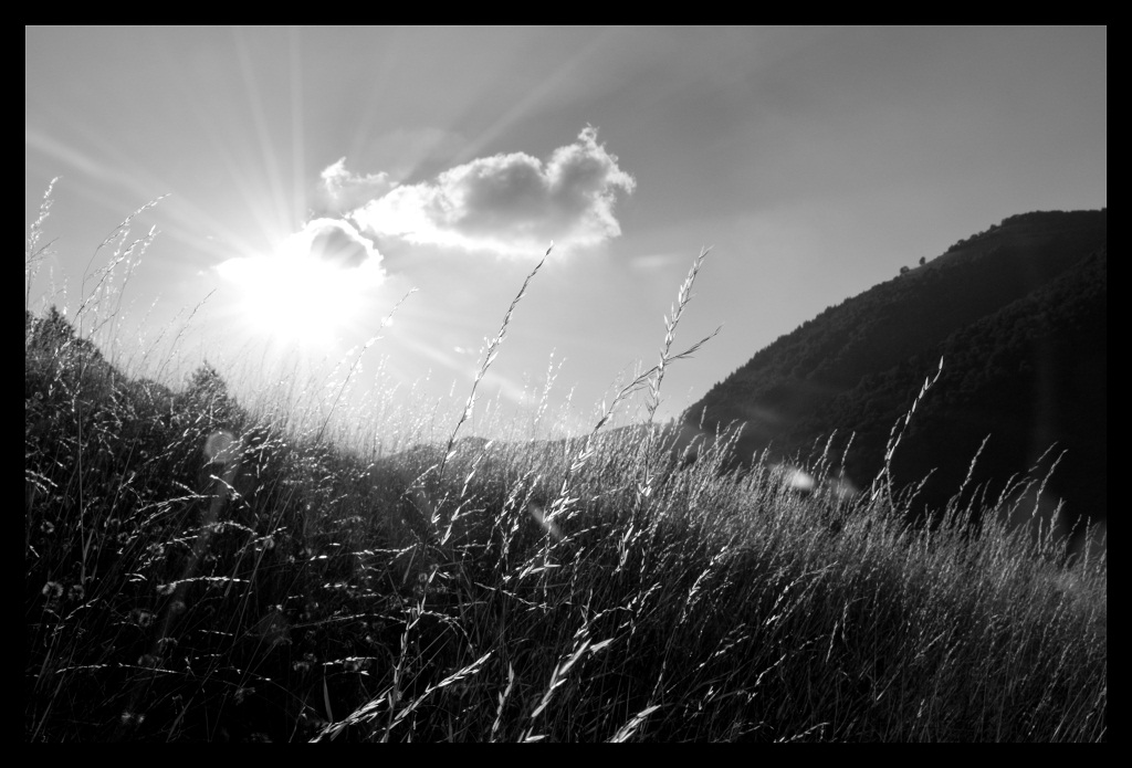 ...Shine on you crazy diamond...