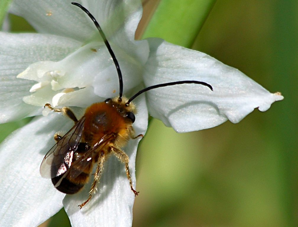 E' quasi ora di pranzo.