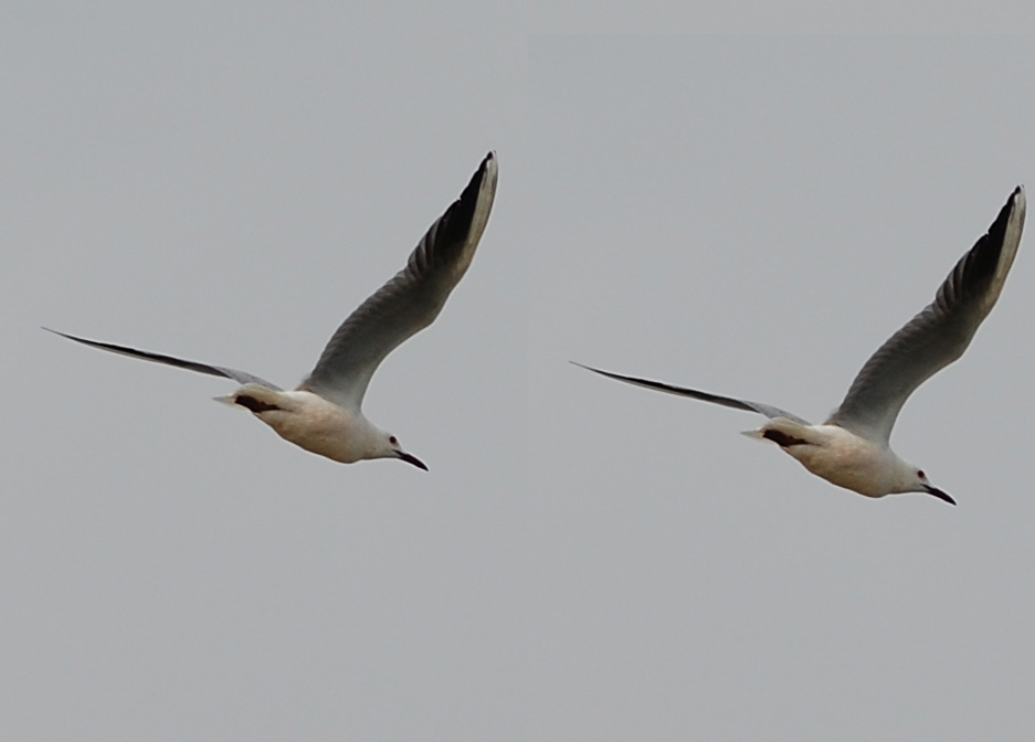 sincronismo in volo...
