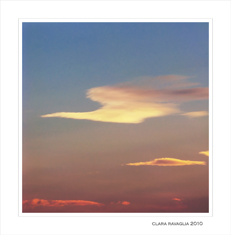 Il volo...dell'airone