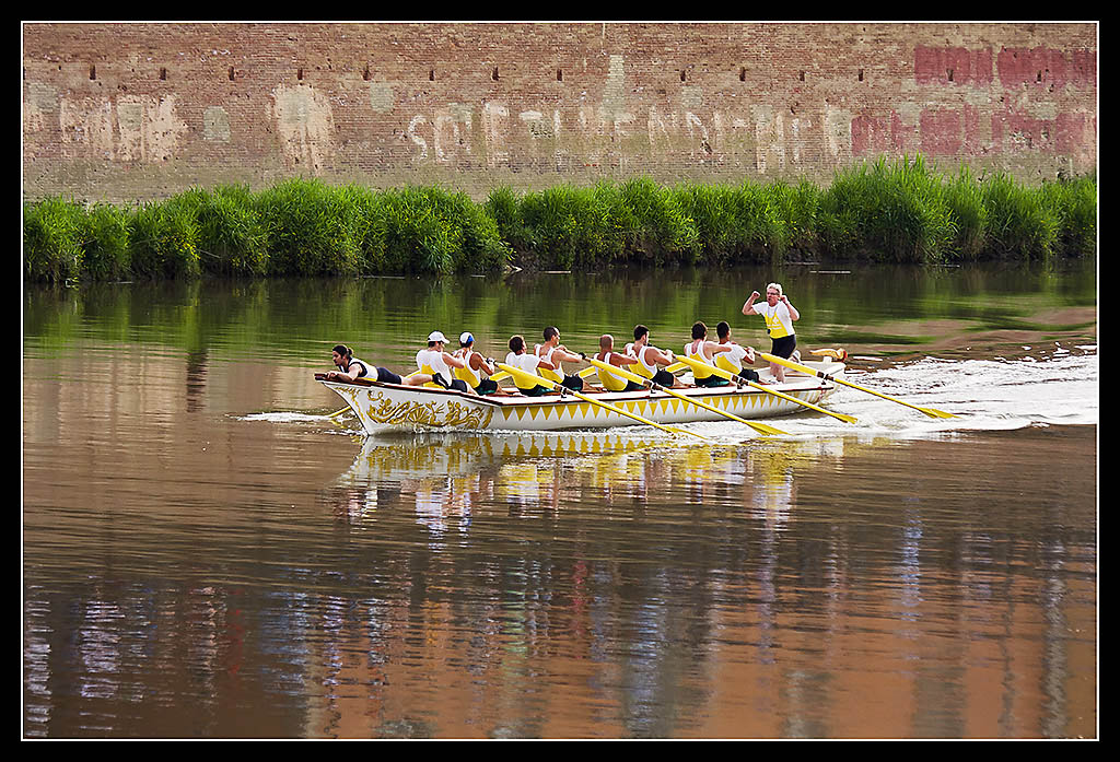 Regata San Ranieri 2010 - Pisa