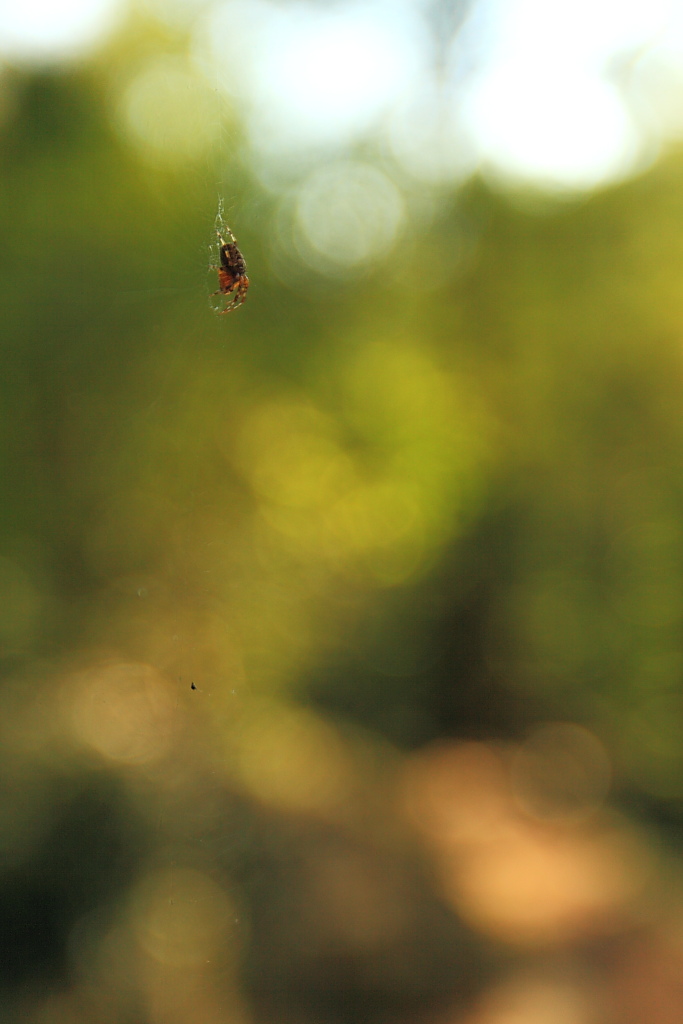 Piccole storie di vita e di morte