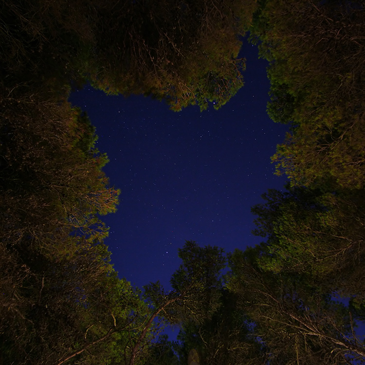 Il Cielo Sopra (omaggio a Paul_bk)