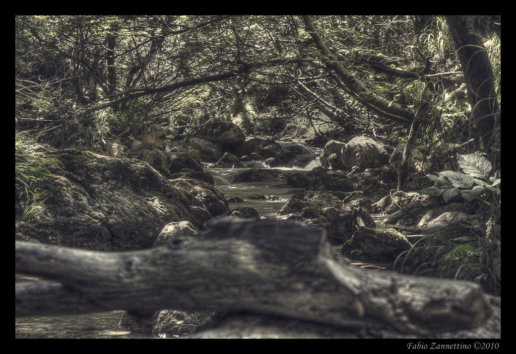 Parco Nazionale D'Abruzzo 3