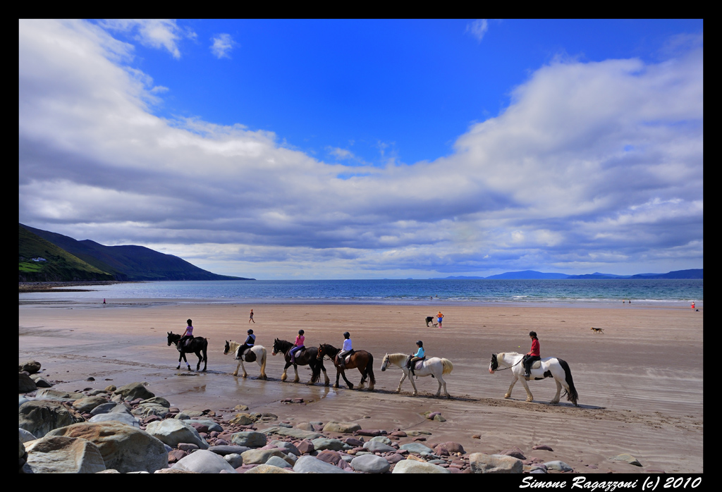 Cavalli sulla spiaggia