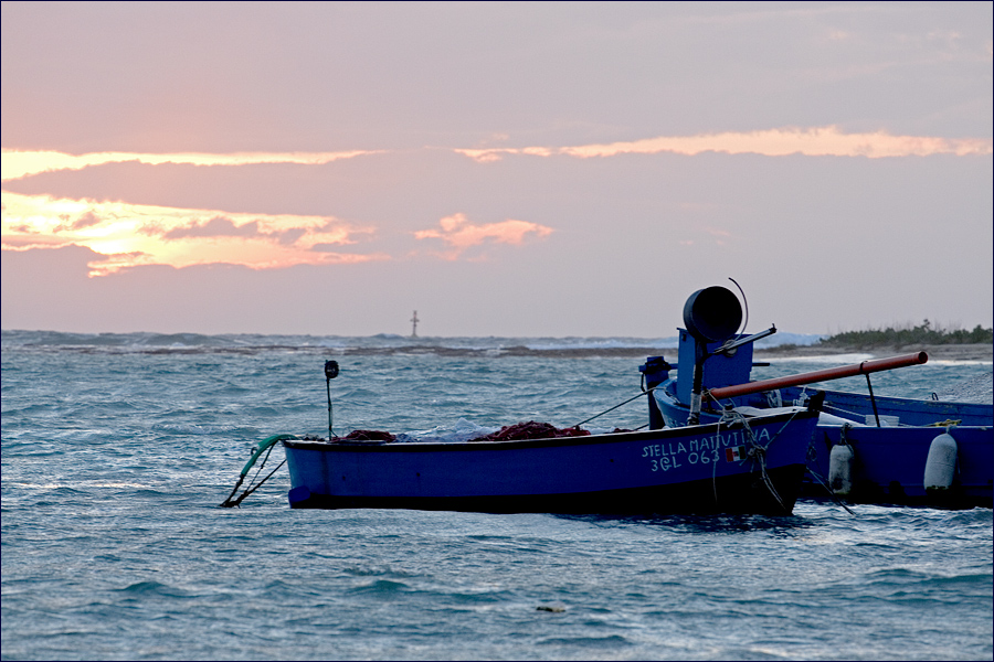 stella mattutina....