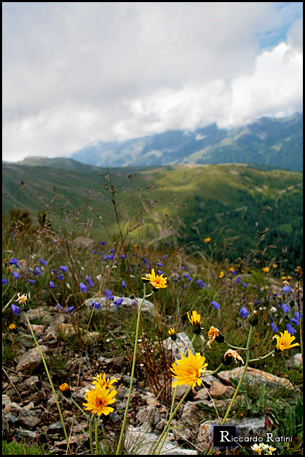 Dalla montagna sopra Sion