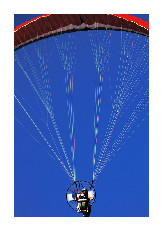 La vita appesa ad un filo